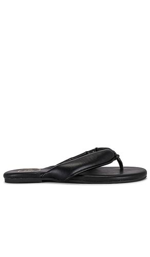 Gisel Sandal in . Taglia 10, 7, 8, 9 - Solei Sea - Modalova