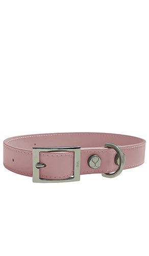The taylor large collar in color pink size all in - Pink. Size all - Shaya Pets - Modalova