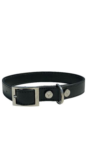 The taylor small collar in color size all in - . Size all - Shaya Pets - Modalova
