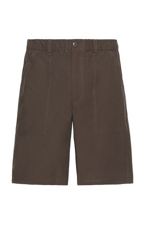 Jungle Short in . Taglia M, S, XL/1X - STAN RAY - Modalova