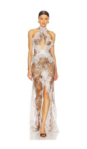 Fara Maxi Dress in . Size XS - The Dolls House - Modalova