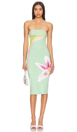 KLEID LUNA MOTH in . Size XS - Tyler McGillivary - Modalova