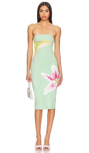 Luna Moth Dress in . Taglia S, XS - Tyler McGillivary - Modalova