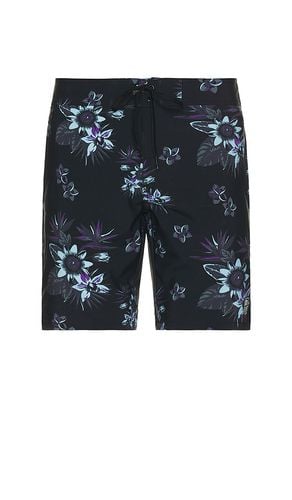 SHORTS TIKI TIME in . Size 32, 34, 36 - TravisMathew - Modalova