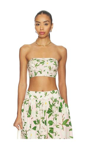 Bandeau in . Size S. Also in M, L, XL - Verandah - Modalova