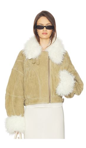 Aviator Jacket Suede Leather in . Size 36. Also in 40 - Vaillant - Modalova