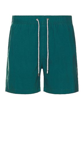 Vintage wash volleys swim short en color talla S en - Green. Talla S (también en XL/1X, XXL/2X) - Vintage Summer - Modalova