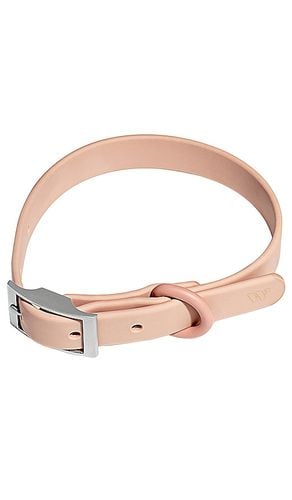 HUNDEHALSBAND DOG COLLAR in - Wild One - Modalova