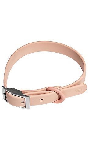 HUNDEHALSBAND DOG COLLAR in - Wild One - Modalova