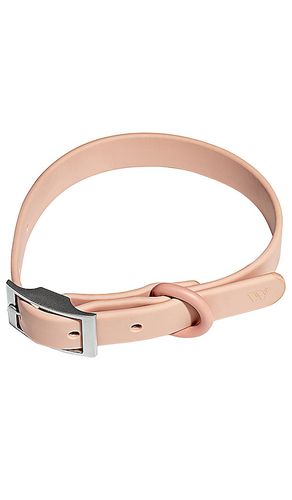 Wild One Collar in Blush - Wild One - Modalova