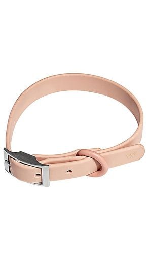 HUNDEHALSBAND DOG COLLAR in - Wild One - Modalova