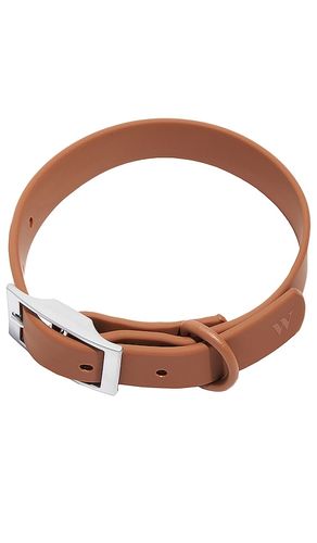 Extra small collar in color brown size all - Wild One - Modalova