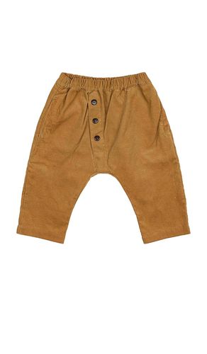 Kids pocket pant en color bronce talla 18/24 en - Tan. Talla 18/24 (también en 2/3, 3/4, 5/6) - Wild Wawa - Modalova