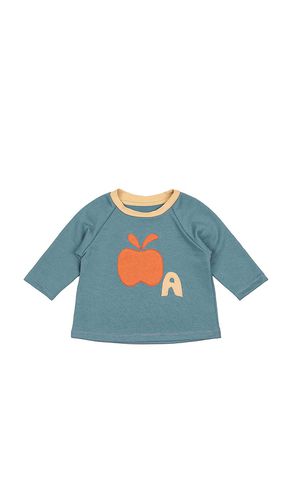 Apple top en color azul talla 18/24 en - Blue. Talla 18/24 (también en 2/3, 3/4, 5/6) - Wild Wawa - Modalova