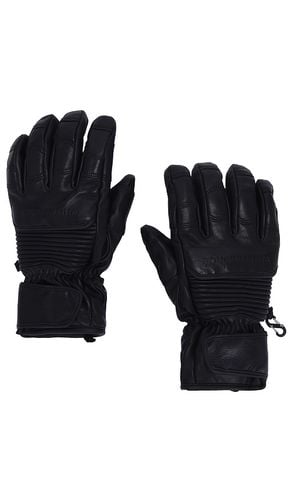 Leather Riding Gloves in . Taglia - Whitespace - Modalova