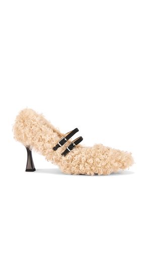 Teddy Heel in . Size 5. Also in 6, 8 - Zemeta - Modalova