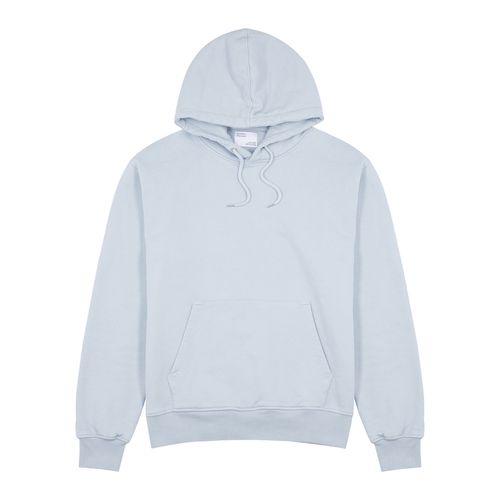 Hooded Cotton Sweatshirt - - XL - COLORFUL STANDARD - Modalova