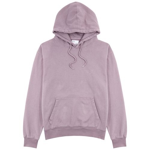Hooded Cotton Sweatshirt - - M - COLORFUL STANDARD - Modalova