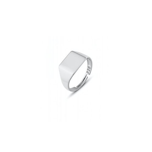 Womens Signature Rectangular Sterling Silver Signet Ring - - One Size - NastyGal UK (+IE) - Modalova