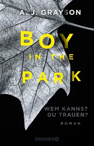 Boy in the Park | A.J. Grayson | | Psychothriller - DROEMER/KNAUR - Modalova