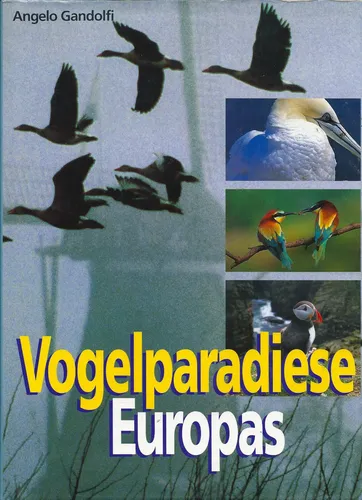 Vogelparadiese Europas - Angelo Gandolfi, 1996, Gebunden - KARL MÜLLER VERLAG - Modalova
