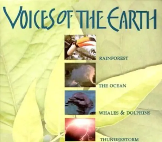 CD - Entspannende Naturklänge, Grün - VOICES OF THE EARTH - Modalova