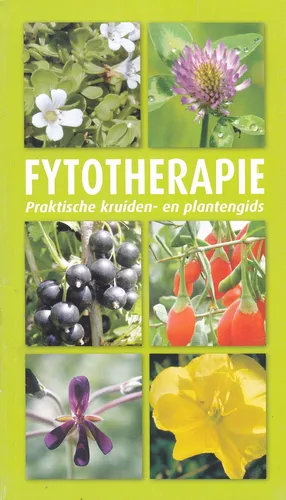 Fytotherapie Ratgeber Gelb Taschenbuch Pflanzen - STUDIO 86 - Modalova
