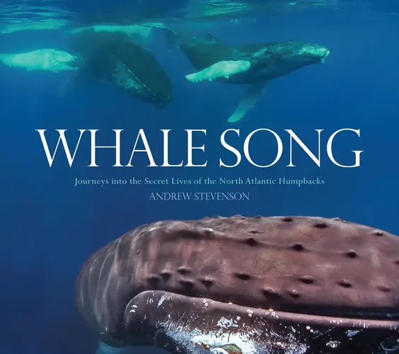 Whale Song by Andrew Stevenson - North Atlantic Humpbacks, Hardcover - GLOBE PEQUOT PRESS - Modalova