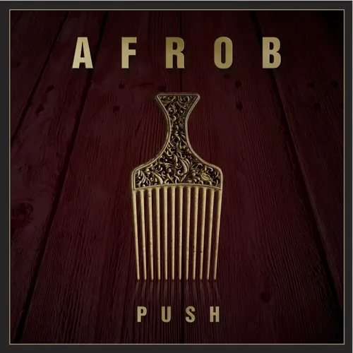 Push Album 2014 Limited Special Edition HipHop - AFROB - Modalova