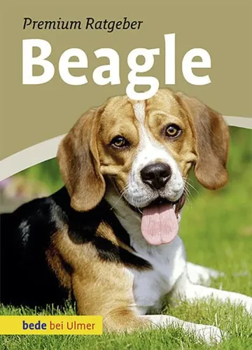 Beagle Ratgeber - Annette Schmitt, Hardcover, Gelb, Ulmer Verlag - ULMER EUGEN VERLAG - Modalova