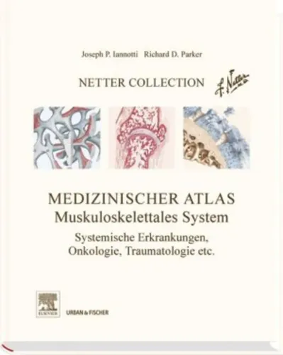 Muskuloskelettales System Band 3 Hardcover 2014 - NETTER COLLECTION - Modalova