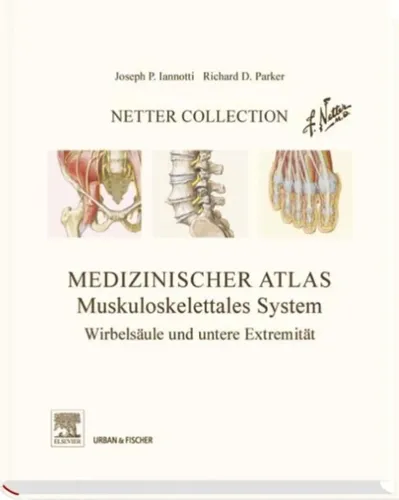 Muskuloskelettales System Obere Extremität - NETTER COLLECTION - Modalova