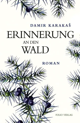 Erinnerung an den Wald Roman Damir Karakas Hardcover Grau - FOLIO - Modalova