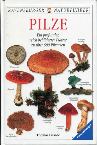 Ravensburger Naturführer Pilze Taschenbuch - Über 500 Arten - Stuffle - Modalova