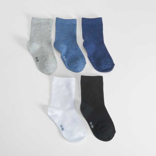 Pack x5 calcetines largos lisos colores bebé - Color: - Merkal - Modalova