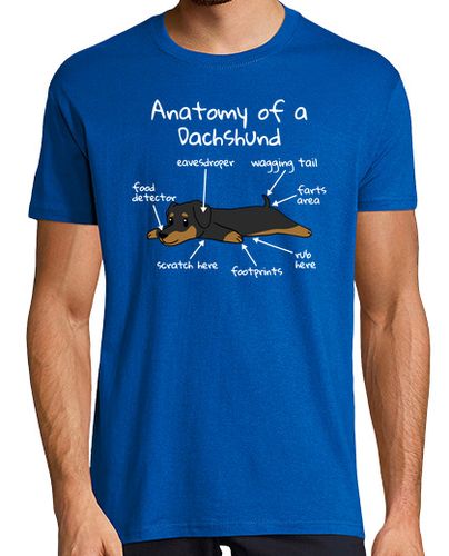 Camiseta Hombre Manga Corta Anatomía De Un Perro Dachshund laTostadora - latostadora.com - Modalova