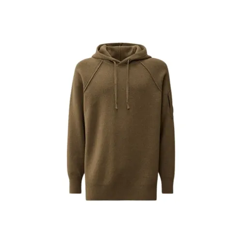 Sweatshirts & Hoodies > Hoodies - - C.p. Company - Modalova