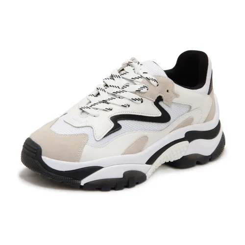 Shoes > Sneakers - - ASH - Modalova