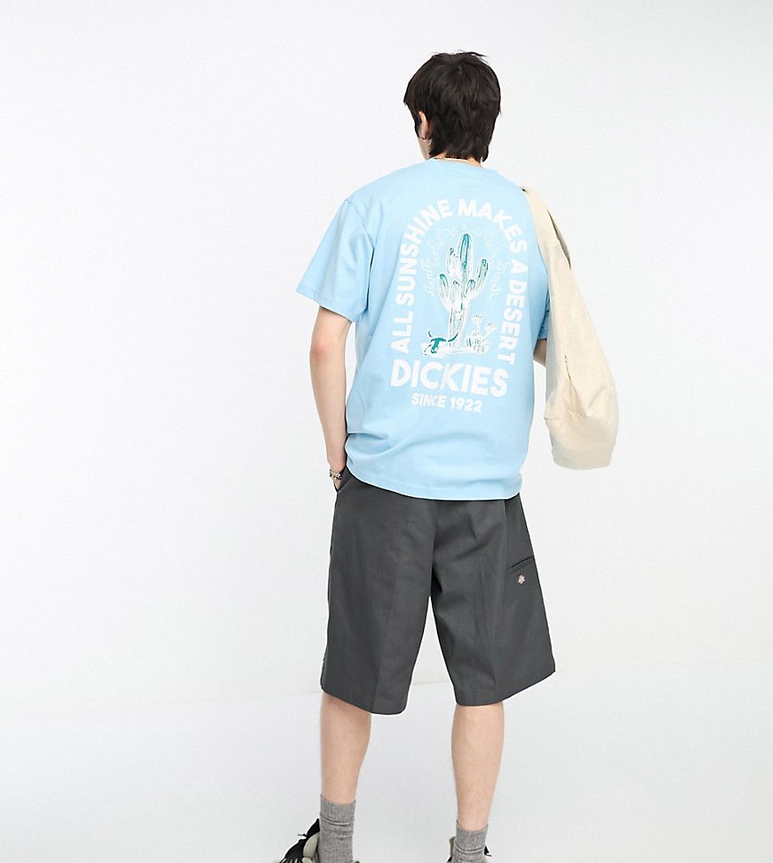 Badger Mountain - T-shirt azzurro cielo con stampa sul retro di cactus - In esclusiva per ASOS - Dickies - Modalova
