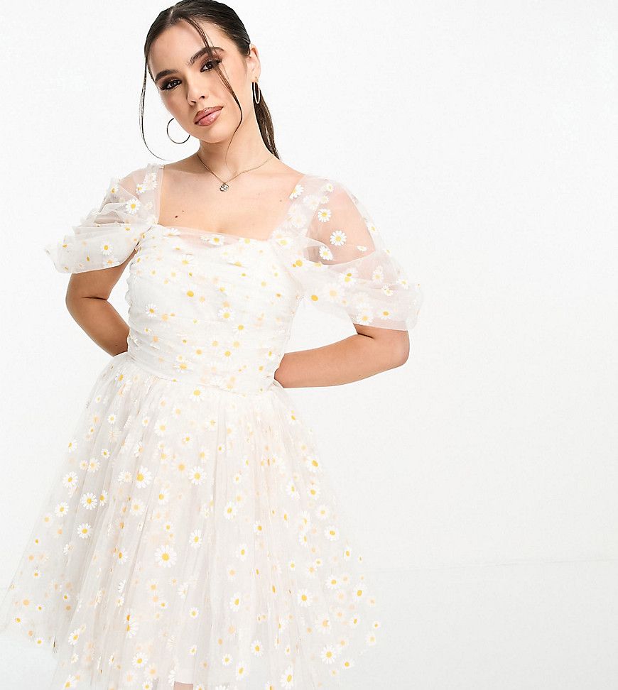 Esclusiva - Vestito corto arricciato in tulle bianco con margherite - Lace & Beads Petite - Modalova