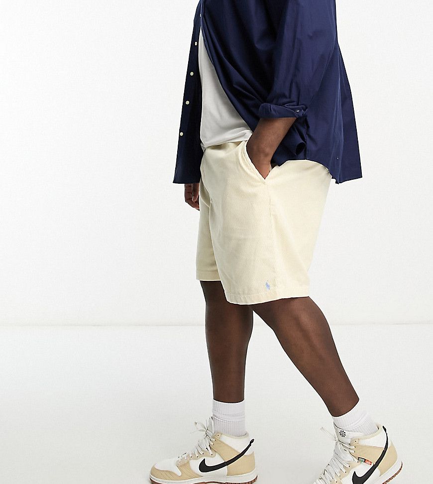Big & Tall - Prepster - Pantaloncini in velluto a coste color crema con logo - Polo Ralph Lauren - Modalova