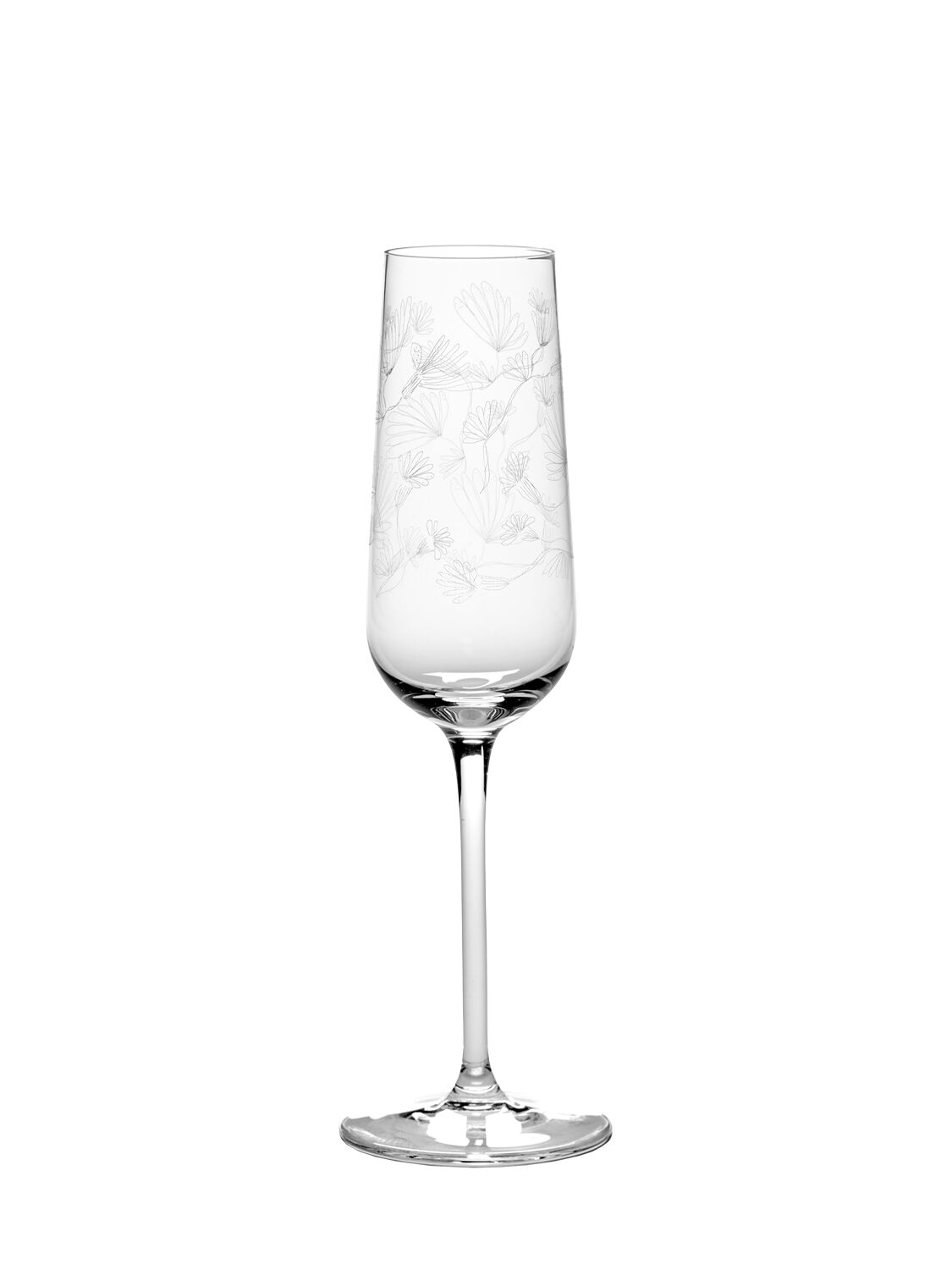 Set Di 4 Bicchieri Camelia Aubergine - MARNI BY SERAX - Modalova